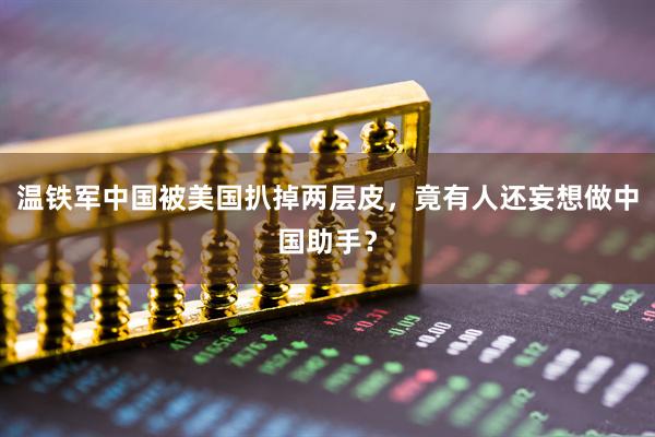 温铁军中国被美国扒掉两层皮，竟有人还妄想做中国助手？