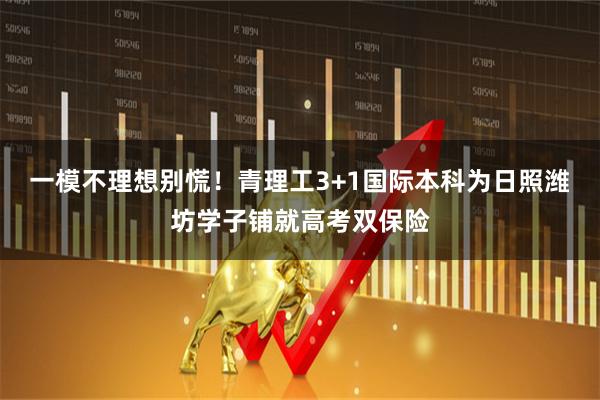 一模不理想别慌！青理工3+1国际本科为日照潍坊学子铺就高考双保险